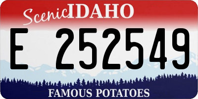 ID license plate E252549