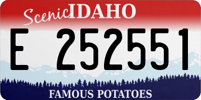 ID license plate E252551