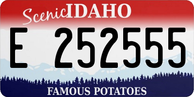 ID license plate E252555