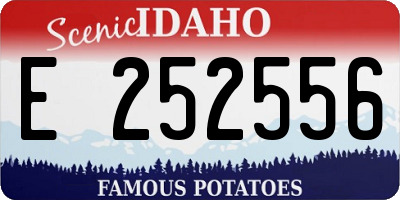 ID license plate E252556