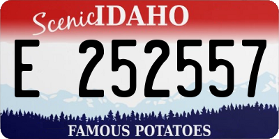 ID license plate E252557