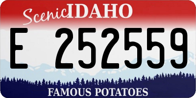 ID license plate E252559