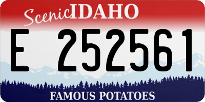 ID license plate E252561