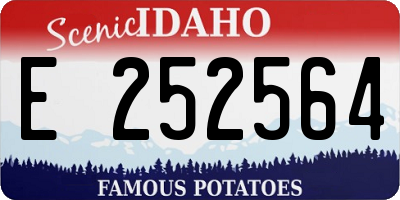 ID license plate E252564