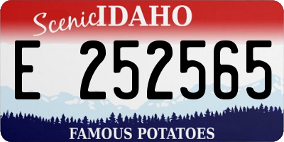 ID license plate E252565