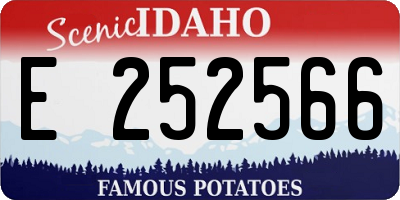 ID license plate E252566