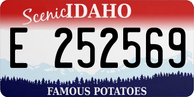 ID license plate E252569