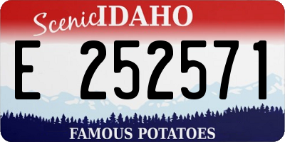 ID license plate E252571