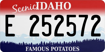 ID license plate E252572