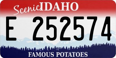 ID license plate E252574