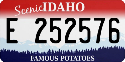 ID license plate E252576