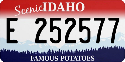 ID license plate E252577
