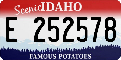 ID license plate E252578
