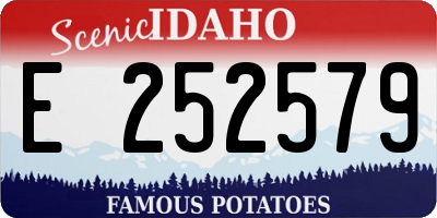 ID license plate E252579