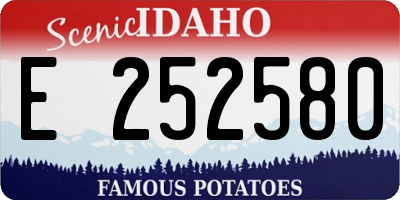 ID license plate E252580