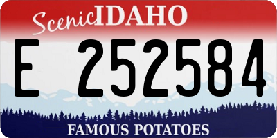 ID license plate E252584
