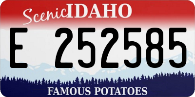 ID license plate E252585
