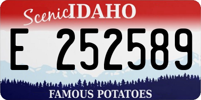 ID license plate E252589