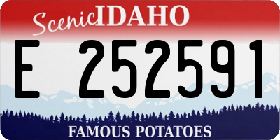 ID license plate E252591