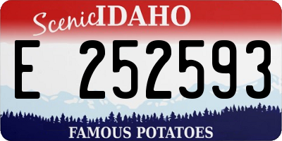 ID license plate E252593