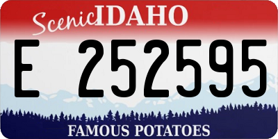 ID license plate E252595