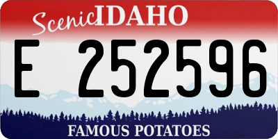 ID license plate E252596