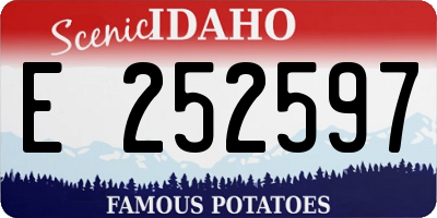 ID license plate E252597