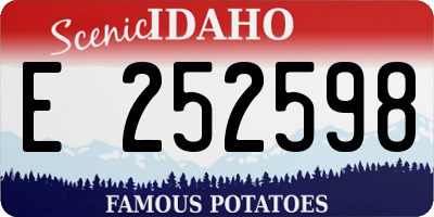 ID license plate E252598