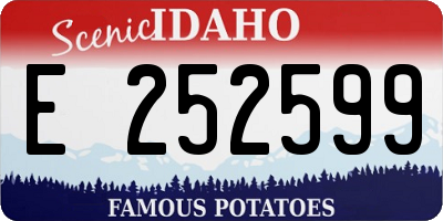 ID license plate E252599