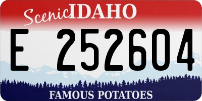 ID license plate E252604