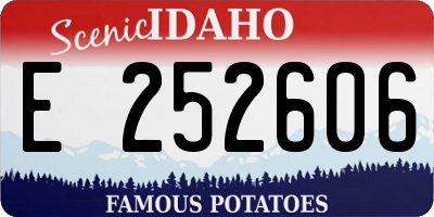 ID license plate E252606