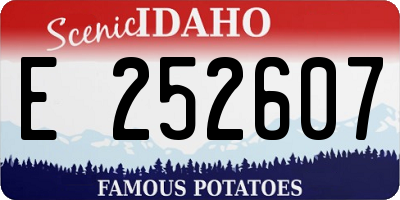 ID license plate E252607