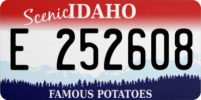 ID license plate E252608