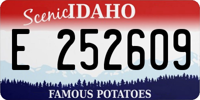 ID license plate E252609