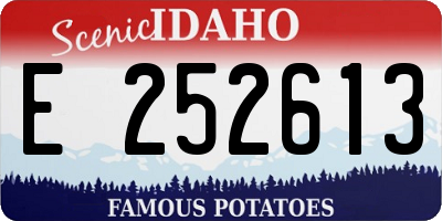 ID license plate E252613
