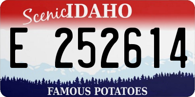 ID license plate E252614