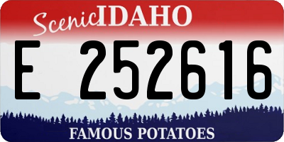 ID license plate E252616