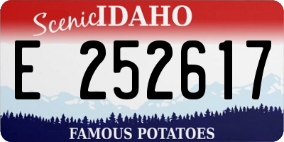 ID license plate E252617