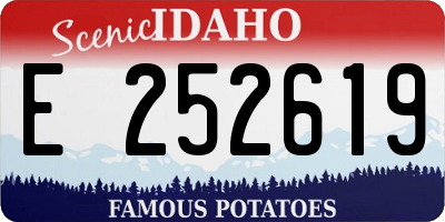 ID license plate E252619