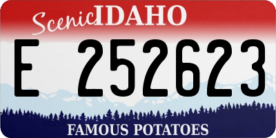 ID license plate E252623