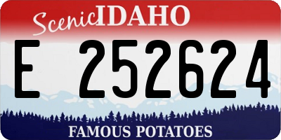 ID license plate E252624