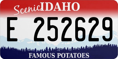 ID license plate E252629