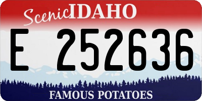 ID license plate E252636