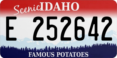 ID license plate E252642