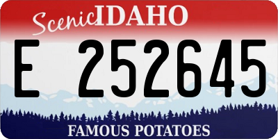 ID license plate E252645