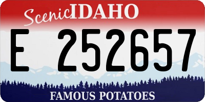 ID license plate E252657