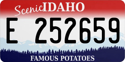 ID license plate E252659