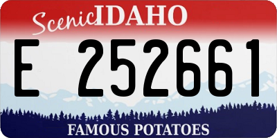 ID license plate E252661