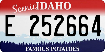 ID license plate E252664
