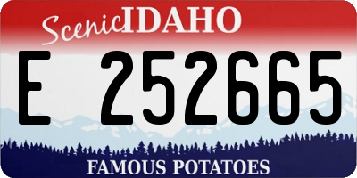 ID license plate E252665